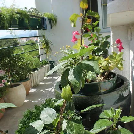 Bianca Beach Apartment